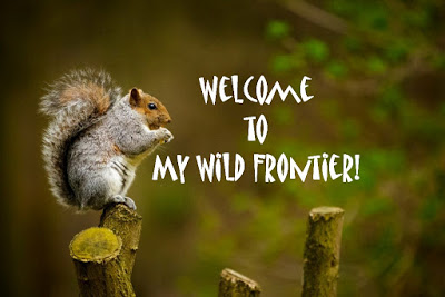 Welcome to my Wild Frontier!