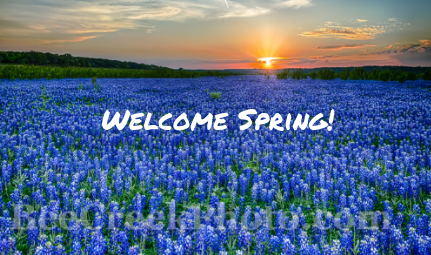 Welcome Spring!  Getting Spring in My Step!