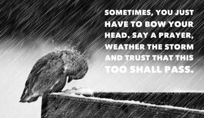 Weathering the Storm