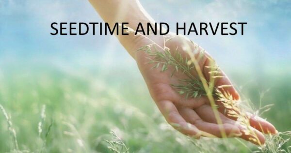 This is What Seed-Time and Harvest Looks Like
