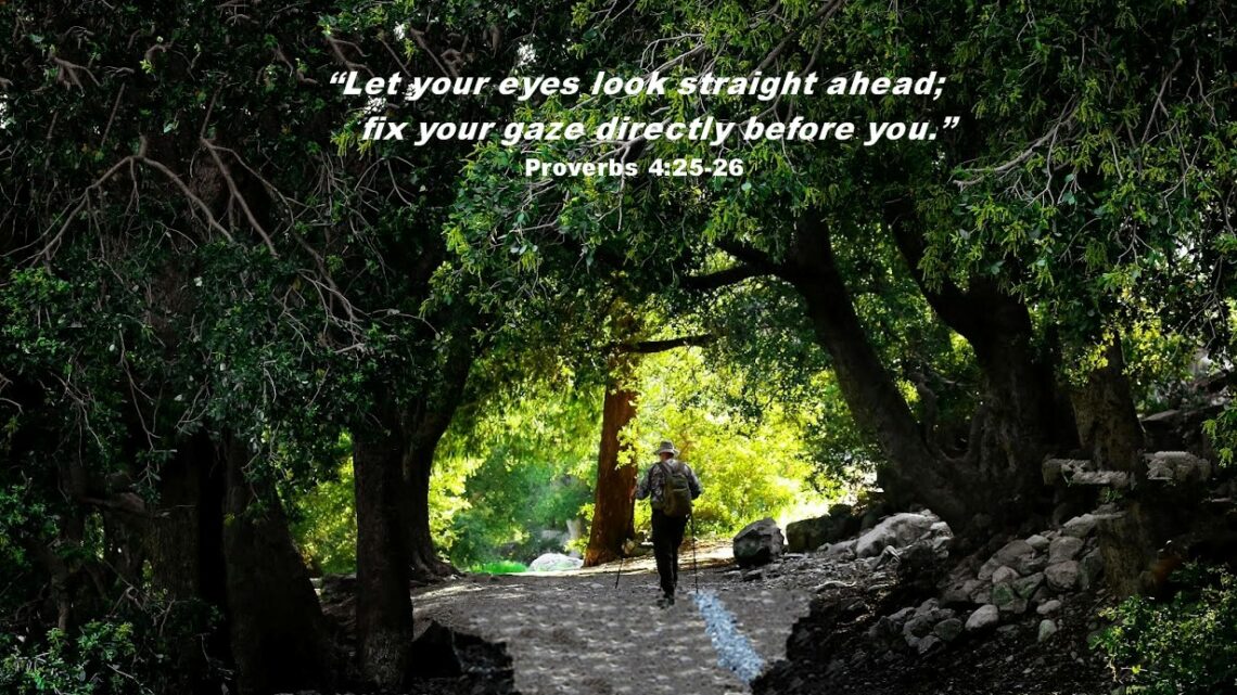 Keeping My Eyes Forward