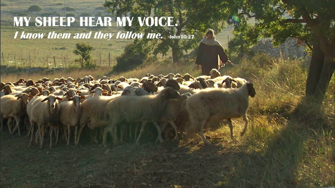 Listening for His Voice Matters