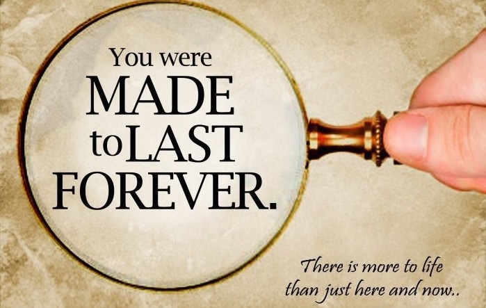 Made to Last Forever