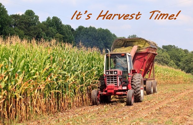 Keep Doing Good — Harvest Time Up Ahead!