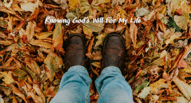 Wondering What God’s Will is For Your Life?