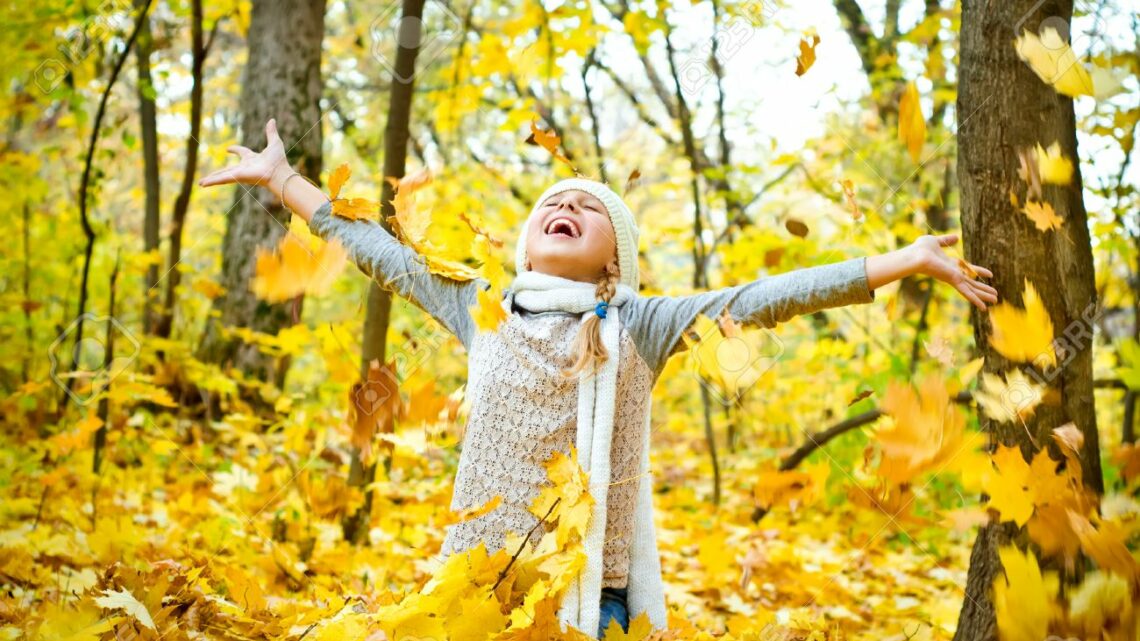 Let Those Leaves Fall – Once and for All