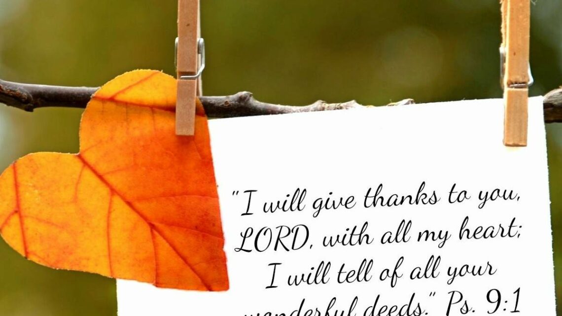 You Have Permission….to be Thankful