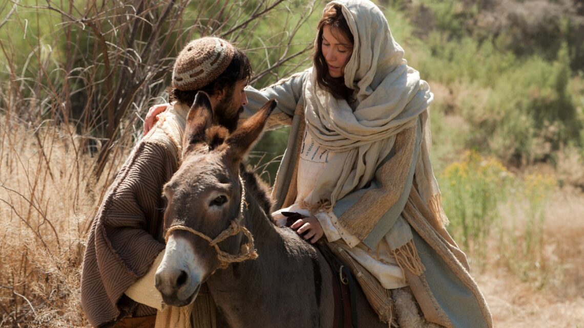 Mary’s Assignment – My Assignment