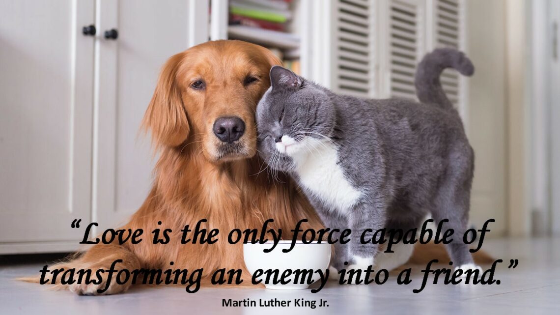 Love’s Power to Change Everything and Everyone