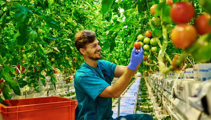 Are we Known by our Appealing or Appalling Fruit?