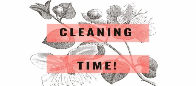 Clean Up. Clean Out. Clean In.