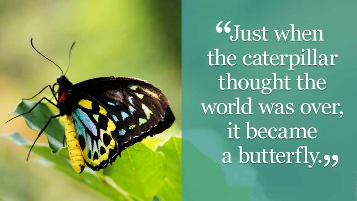 Turning our Cocoons into Divine Preparation