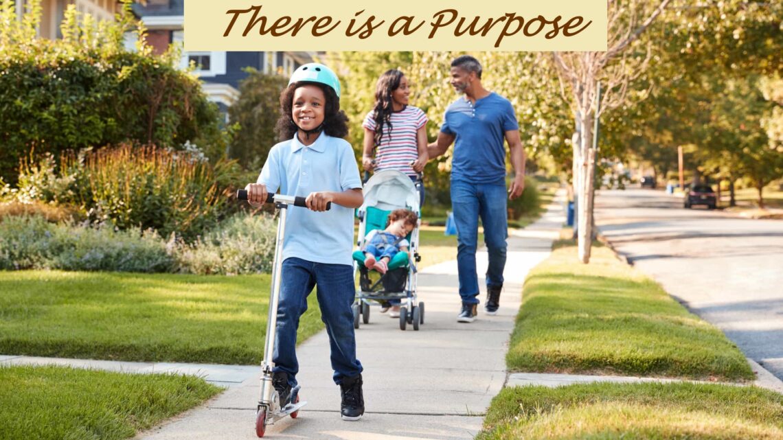 Our All-Wise Know-It-All has a Purpose