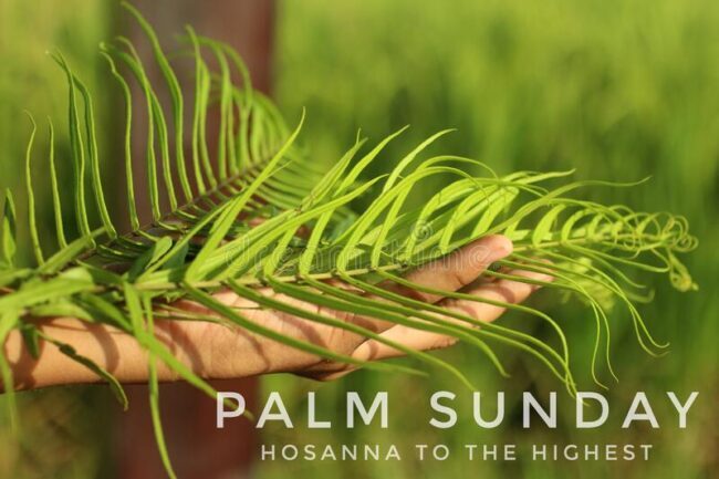 Not the Usual Pomp on this Palm Sunday