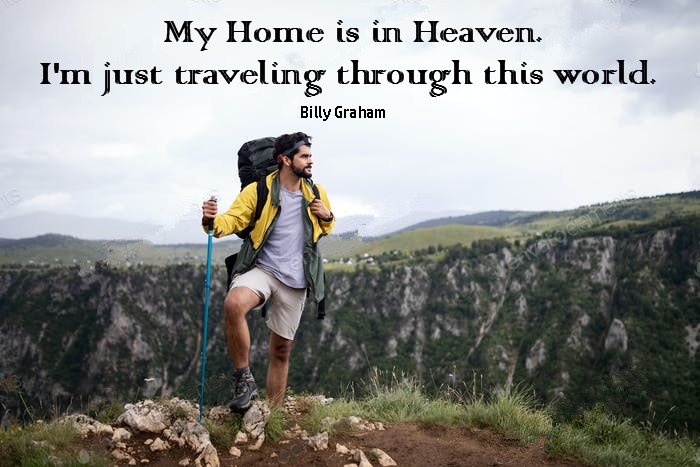Homeward Bound