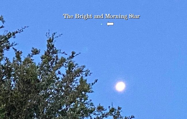 The Bright and Morning Star