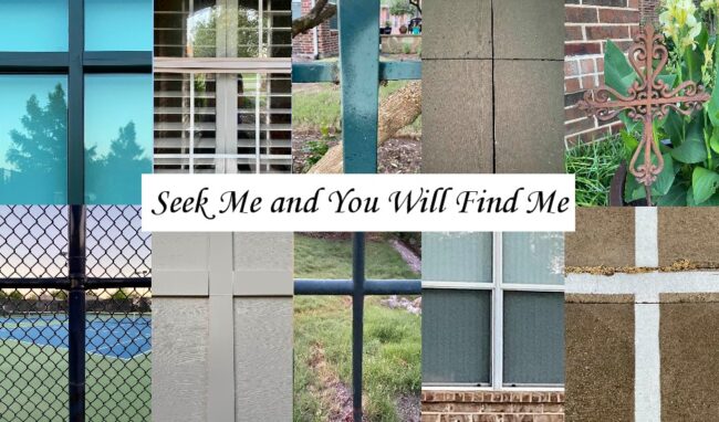 Seek and Find