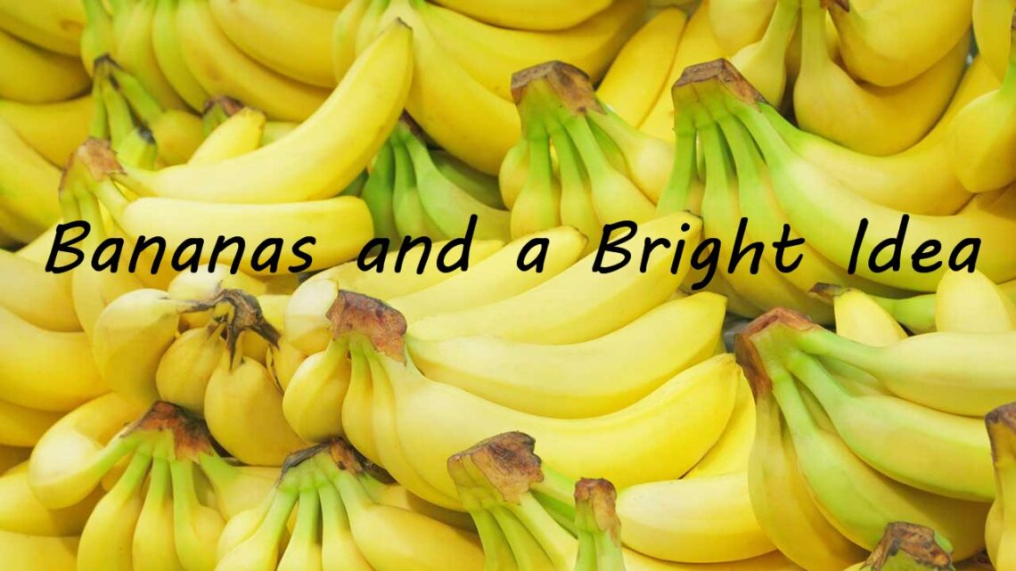 Bananas & a Bright Idea