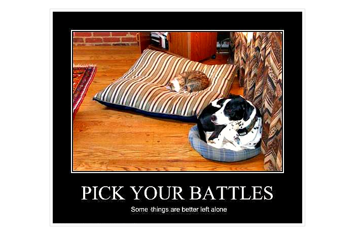 Pick Your Battles