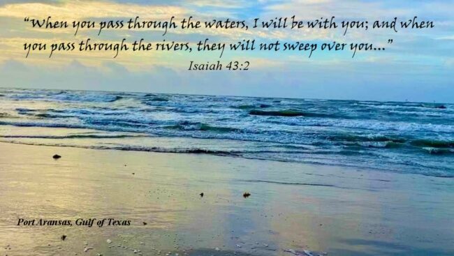 Life is Often Like a Wild Water Ride