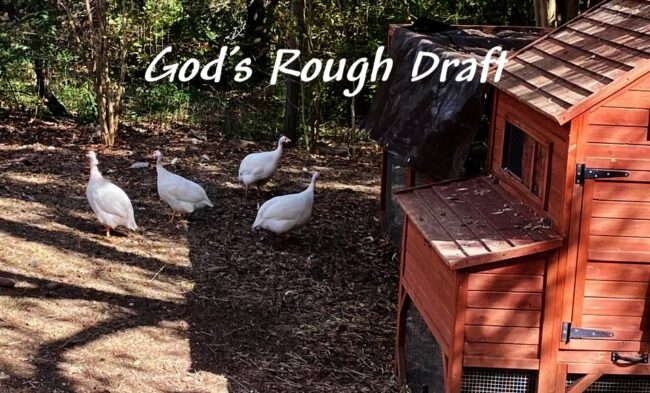 They’re God’s Rough Draft