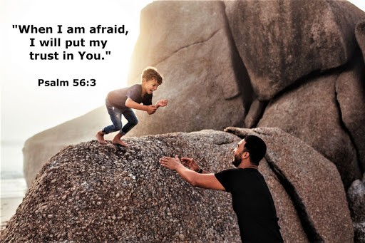 NO Fear Here — 365 Days this Year!