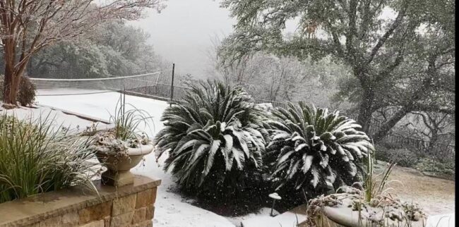 It’s Snowing Somewhere Today