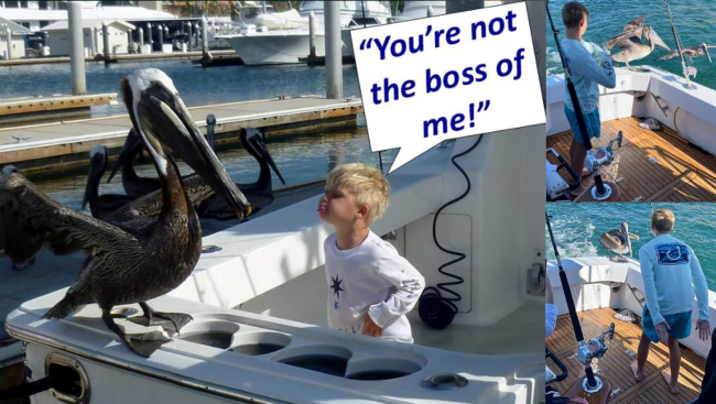 You’re Not the Boss of Me