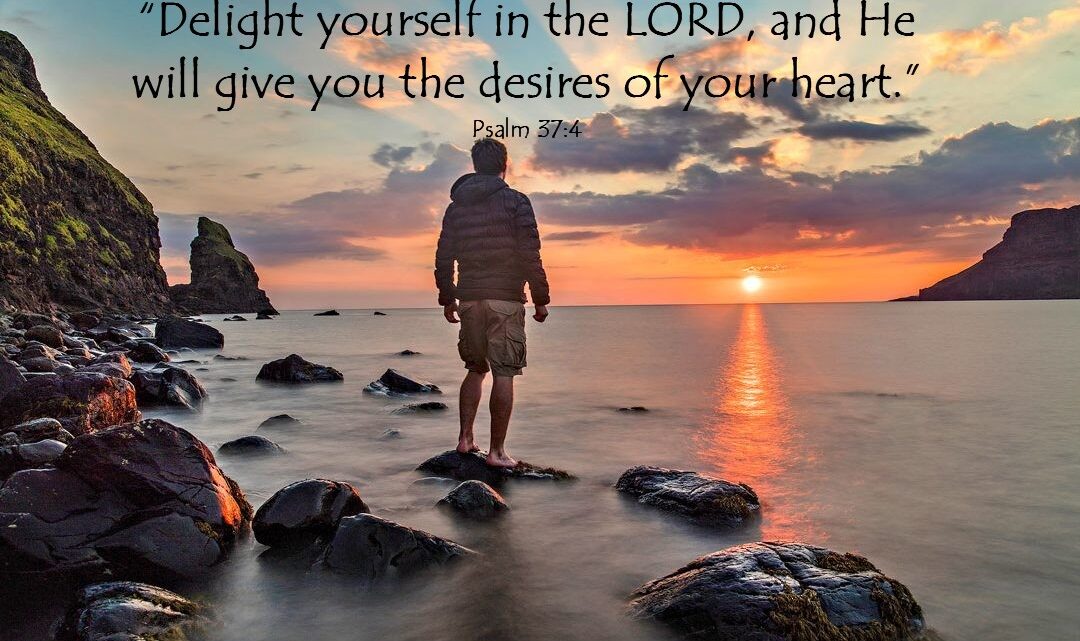 Delighting is an Action Verb