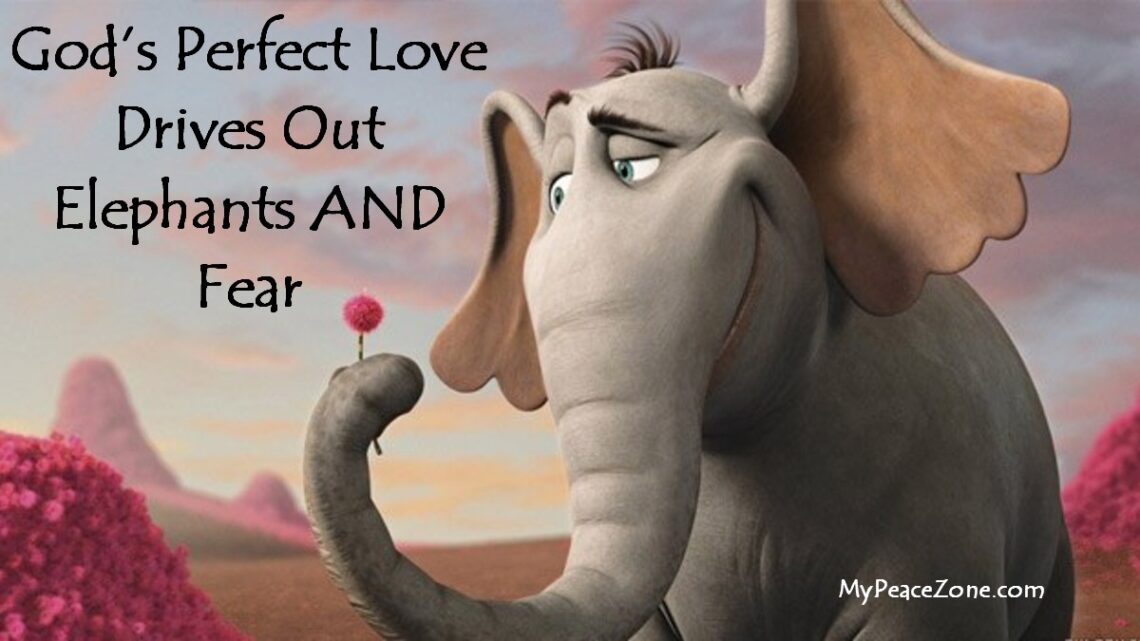 Facing our Fears with Love