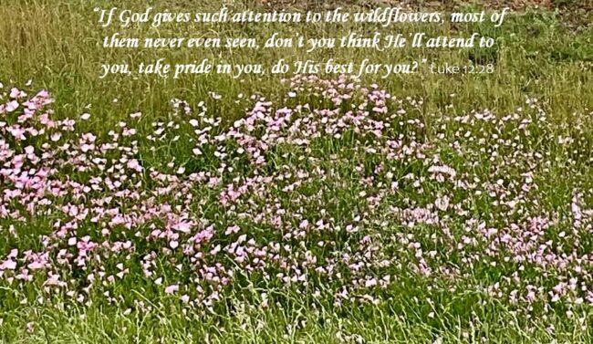 Do You Feel Unnoticed?