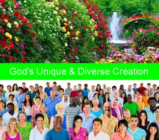 God’s Unique and Diverse Garden