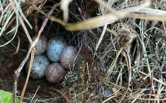 The Joys of Nesting
