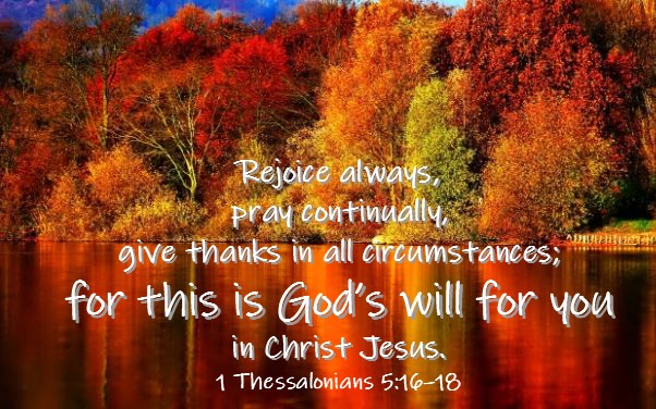Wondering What God’s Will is For Your Life?