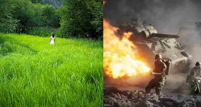 Peaceful Green Pastures or the Battlefield