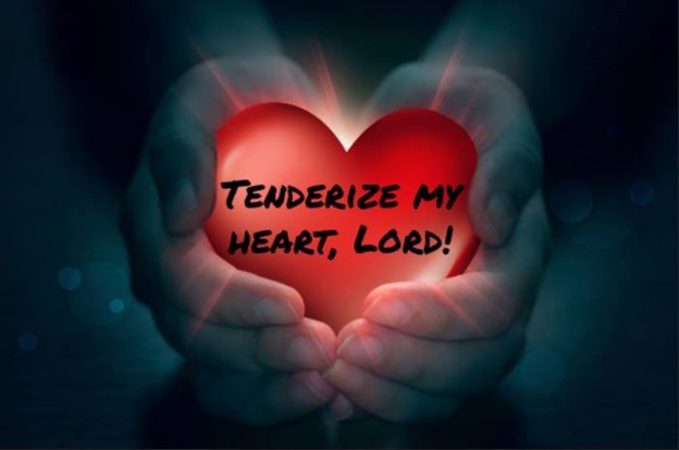 Tenderize My Heart, Lord