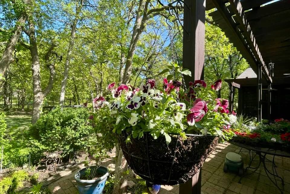 April Showers Bring May Flowers