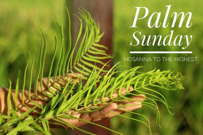 It’s Palm Sunday and Here He Comes!
