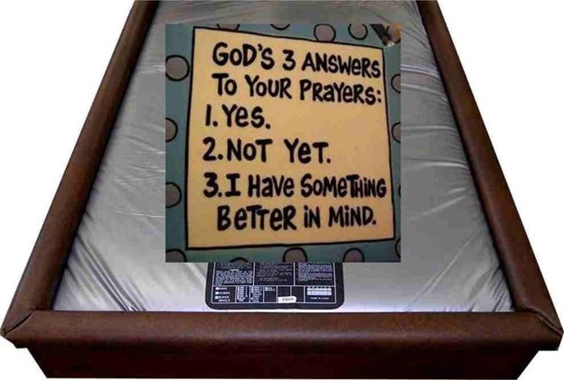 God, My Husband and My Chiropractor