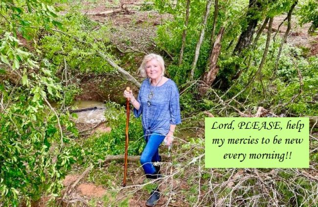 MY Mercies are New Every Morning