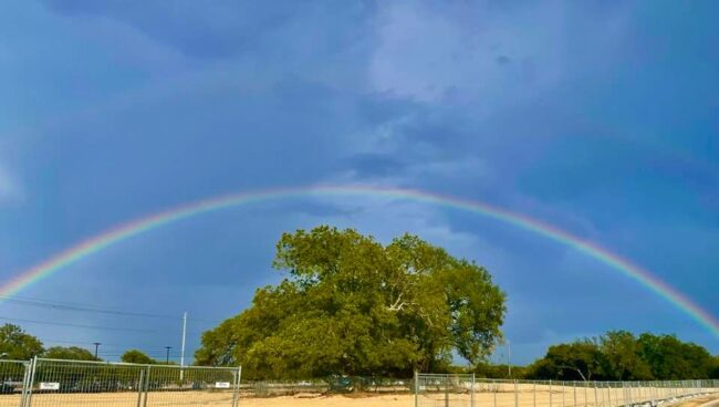 Rainbow in the Rain & the Drought