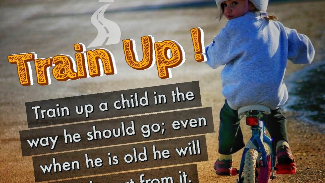 Training Up a Child in the Way