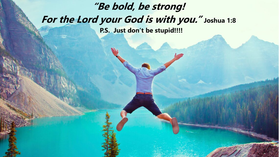 Dare to be Bold