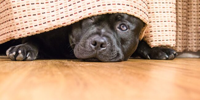 It’s Time to Get Out From Under