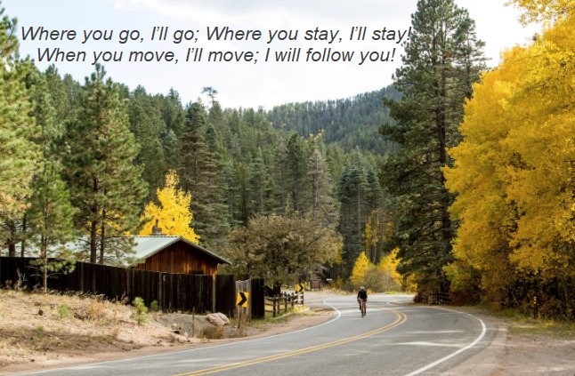 I’ll Go Where You Go