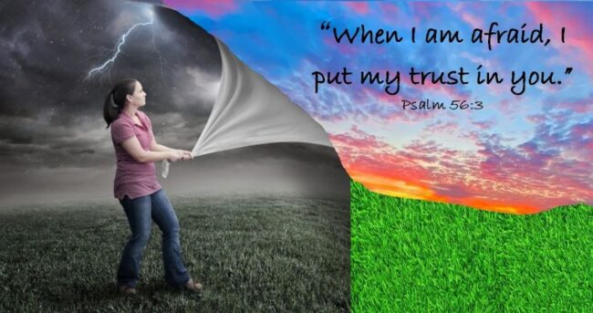 Rise to the Occasion