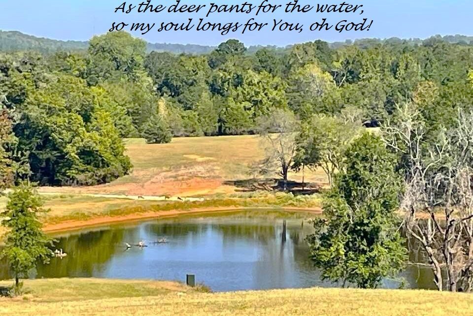 As the Deer Pants for the Water