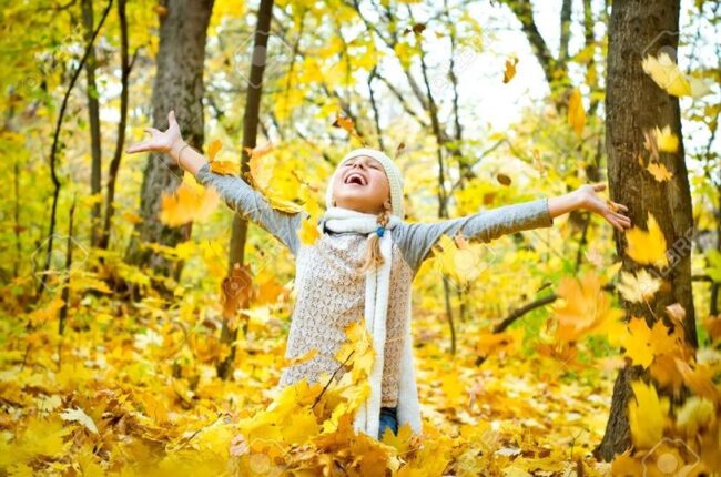 Let the Dead Leaves Fall