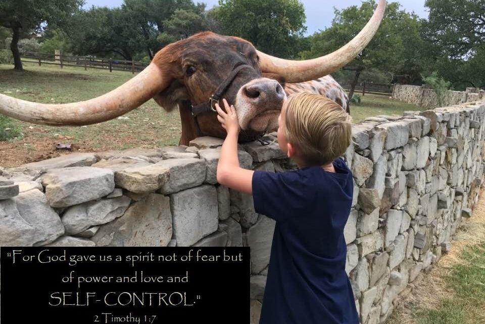 Controlling What I Can and Cannot