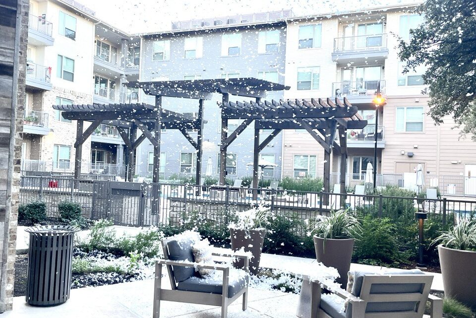 Surprise! It Snowed in Austin!